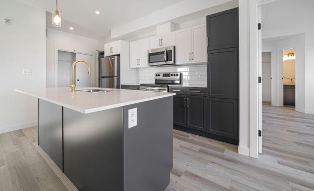 Virginia: Gold Accents – 196 Colony, Winnipeg, MB - Photo 1