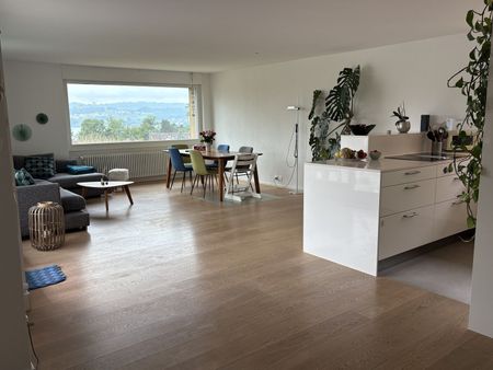 APPARTEMENT 51/2 PIÈCES À MÄNNEDORF (ZH), MEUBLÉ, TEMPORAIRE - Photo 3