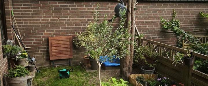 Wohnung zur Miete Schnelsen - Foto 1