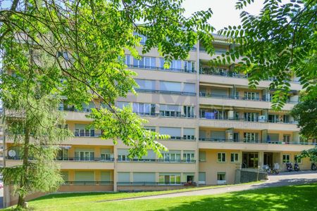 Meyrin, avenue de Vaudagne, 3 pièces au Rez supérieur - Photo 3