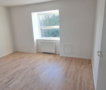 Flot lejlighed - husdyr tilladt - Foto 6