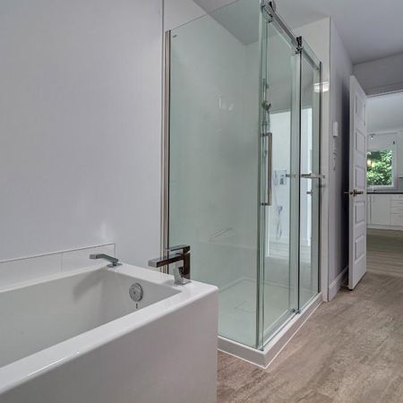 CESSION DE BAIL Logement 4 1/2 a louer a Saint-ignace-de-loyola - Photo 4