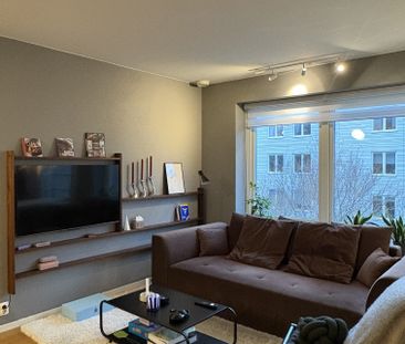 Södra Vägen, Lund - Photo 2