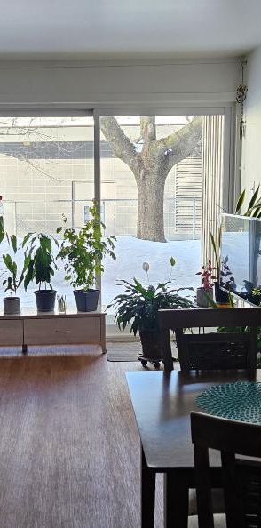 3 1/2 chauffé éclairé 1er Juillet, UQAR, CFP Lévis centre-ville - Photo 1