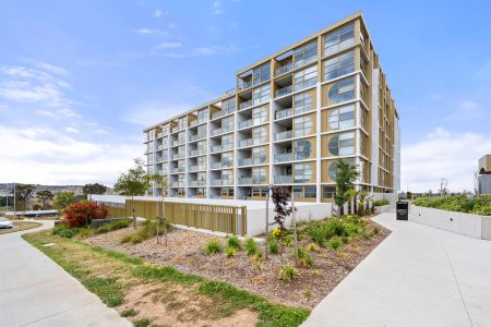 G08/1 Holborow Avenue, Denman Prospect ACT 2611 - Apartment For Rent | Domain - Photo 4