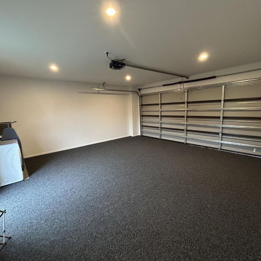 Hot on Hibiscus - Photo 1