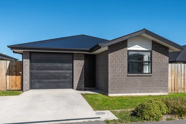 4 Te Kanawa Lane, Rolleston - Photo 1