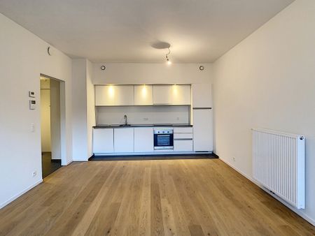 Live with the owner - 1 bedroom apartment - Photo 2