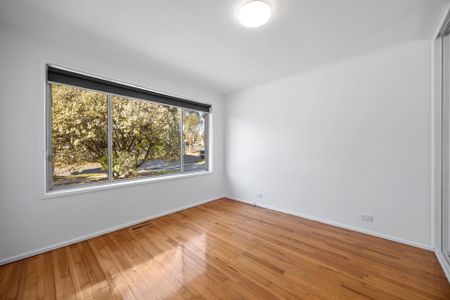 Renovated Comfort with Exceptional Alfresco Living - Photo 4