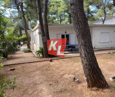 Μονοκατοικία για ενοικίαση Νέα Κηφισιά (Κηφισιά) - Photo 2