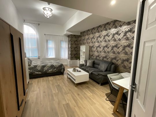 Studio Flat, London Road, L3 - Photo 1
