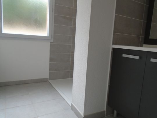 Location Appartement 1 pièce 26m² CASTANET TOLOSAN 31320 - Photo 1