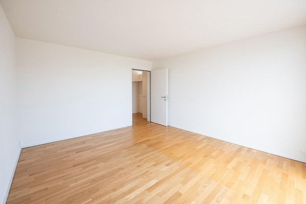 2.5 Zimmer-Wohnung in Tagelswangen - Photo 1