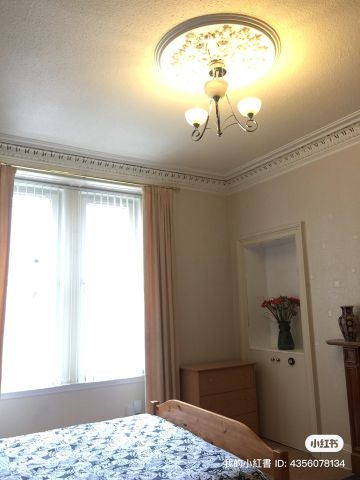 3 Bed Flat, Caledonian Place, EH11 - Photo 4