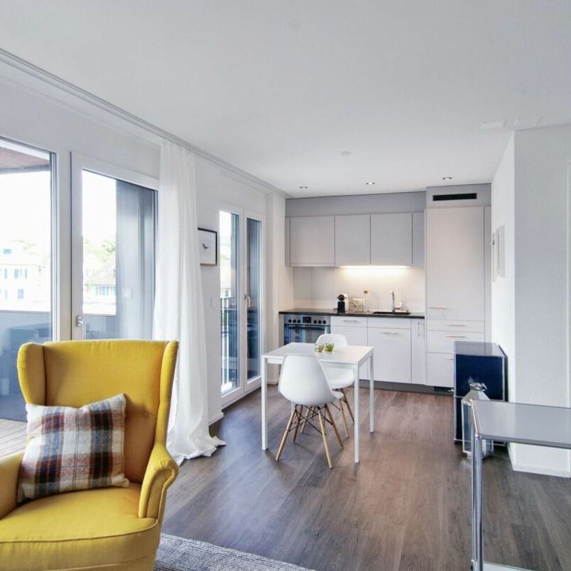 BUSINESS APARTMENT - Fully furnished - Photo 1