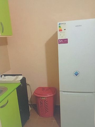 Dimtrie leonida demisol drumul fermei - Fotografie 5