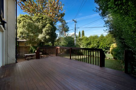 Cosmopolitan Living - Photo 3