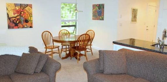 Newly Renovated Top Floor 2 Bedroom - Furnished in Kitsilano #491 - Photo 2