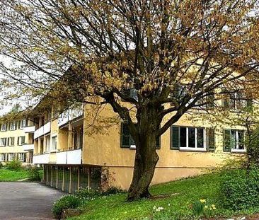 In Zürich-Höngg an ruhiger Lage - Foto 6