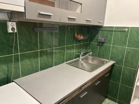 Brancoveanu nitu vasile izvorul rece - Fotografie 2