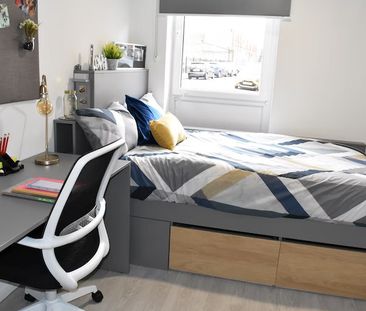 Six Bed Apartment (Shared) - Photo 4