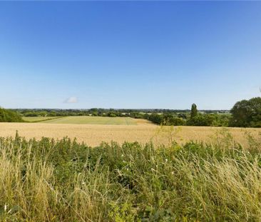 3 bedroom bungalow to rent - Photo 6