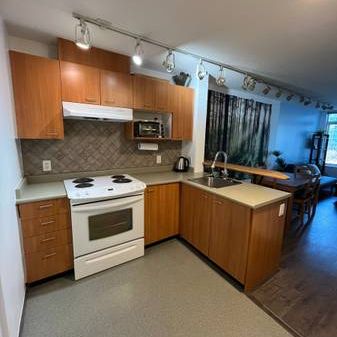 All expenses included, pet friendly, coal harbour heaven (Coal Harbour - Photo 1