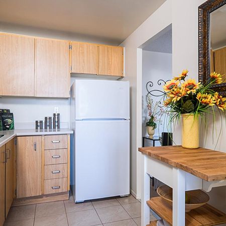 Lincoln Park Tower - Photo 4