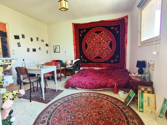 Location Appartement 1 pièce 24m² RENNES 35000 - Photo 1