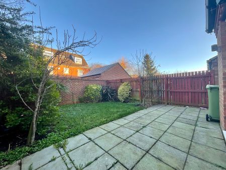 3 bedroom Town House to let - Photo 4