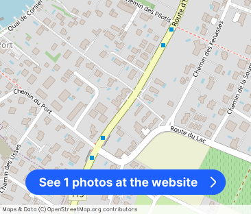 Exceptional Villa in Corsier - Lake View, Spacious, Garden & Pool - Photo 1