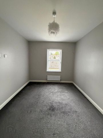 Apt 6, 46 Ogle Street - Photo 3