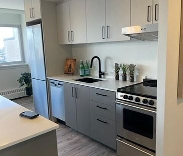 257 Lisgar Street, Centretown, Ottawa, ON - Photo 4