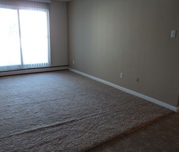 103, 6727 - 59 Ave - Photo 6