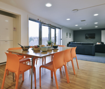 Studio to rent - Photo 3 | Rentumo