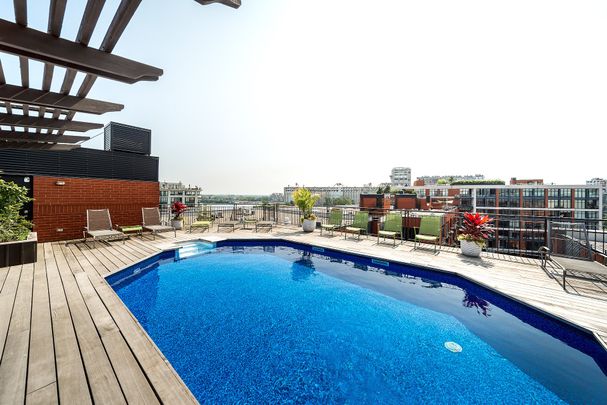 50 Rue des Soeurs-Grises #504, Montréal (Ville-Marie), H3C5P1 - Photo 1