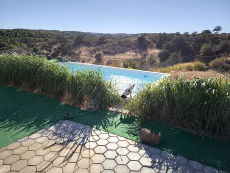 MORADIA - CASA DE MADEIRA T1 - COM PISCINA - ARRENDAMENTO DE SETEMBRO A JUNHO - ALCARIAS GRANDES - CASTRO MARIM - ALGARVE - Photo 3