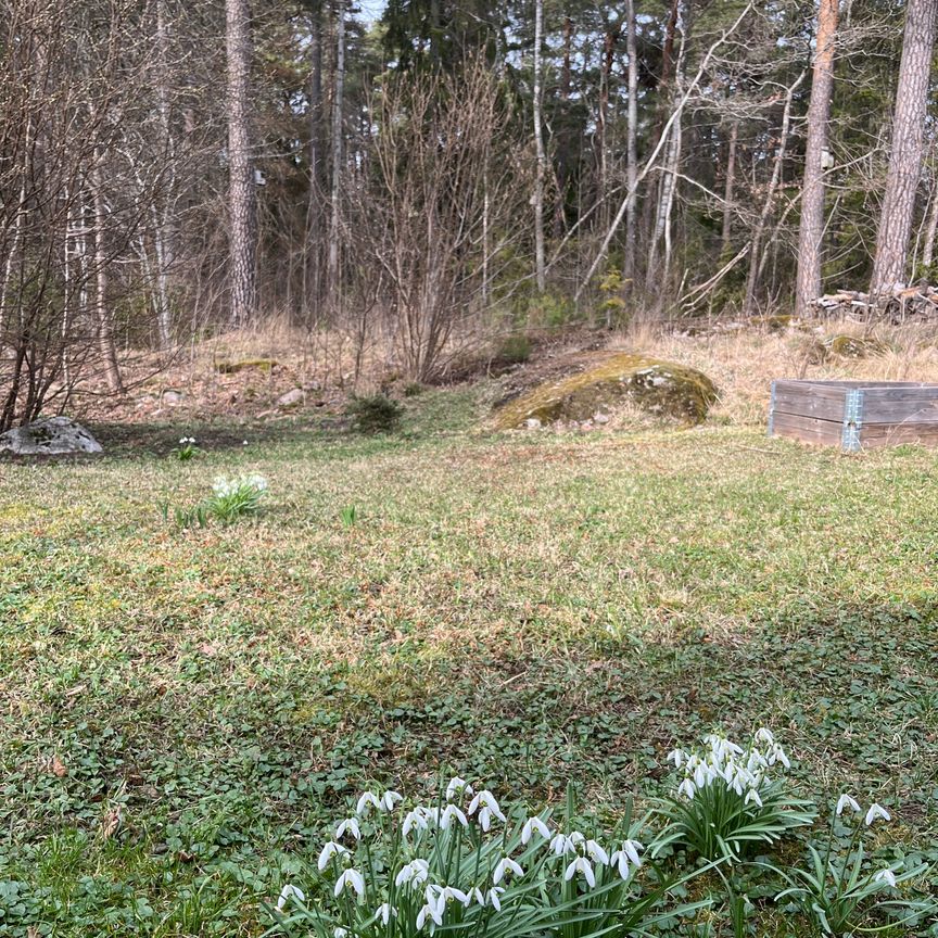 Skogsmyrsvägen, Uppsala - Photo 1