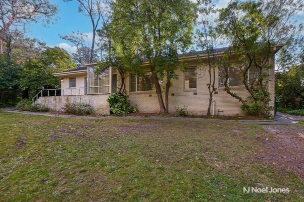 45 Angus Avenue, RINGWOOD EAST - Photo 1