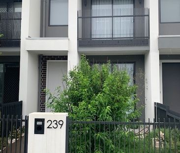 239 Abell Road, Marsden Park NSW 2765 - Townhouse For Rent | Domain - Photo 3