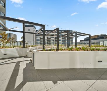 Charming Apartment in the Heart of Woden - Photo 5