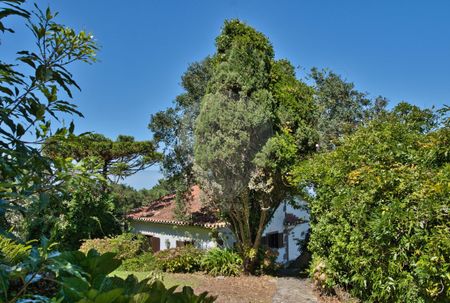 Moradia T2 em Lisboa - Photo 5