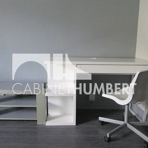 Location Appartement 1 pièce Meublé 25m² ST ETIENNE 42000 - Photo 2