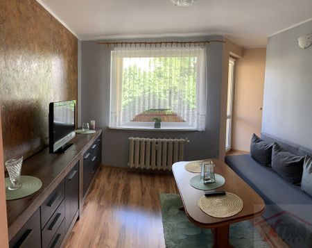 Do wynajęcia, Bukowe, śliczne dwa pokoje, 32,60m2 (437146) - Zdjęcie 2
