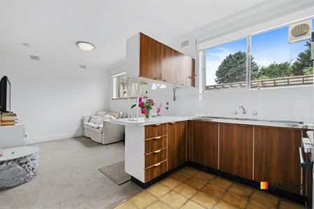 Charming 1-Bedroom Granny Flat in Peaceful Weetangera - Photo 3