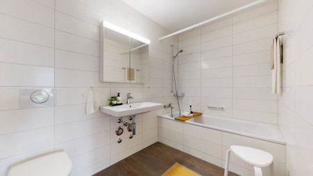 4.5-room apartment on the ground floor with living space on the Schüssinsel in Biel - Photo 5