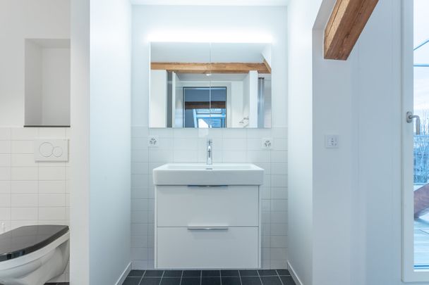 Einmalige Gelegenheit - wunderschöne Loftwohnung beim Zolli - Foto 1