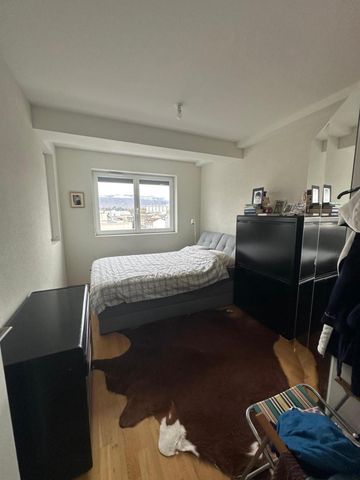 Appartement de 6 pièces à Carouge - Photo 5