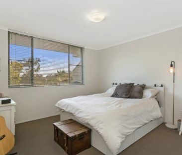 Easy & Modern Living in Leafy Corinda - Photo 4
