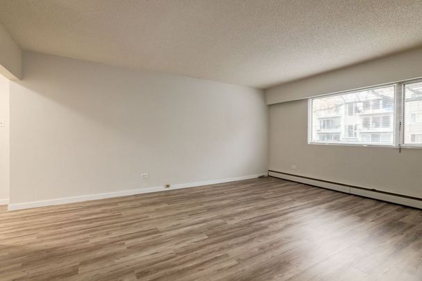 1 Bedroom - Photo 1